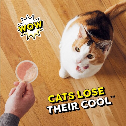 Temptations Lickable Spoons Adult Wet Cat Treat Savory Salmon and Tempting Tuna Flavor Perspective: right