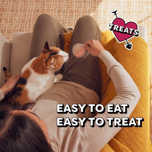 Temptations Lickable Spoons Wet Cat Treat Tasty Chicken and Savory Salmon Flavor Perspective: right
