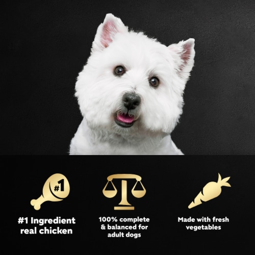 Cesar Wholesome Meals Adult Wet Dog Food Beef, Chicken, Carrots, Barley & Green Beans Recipe Perspective: right