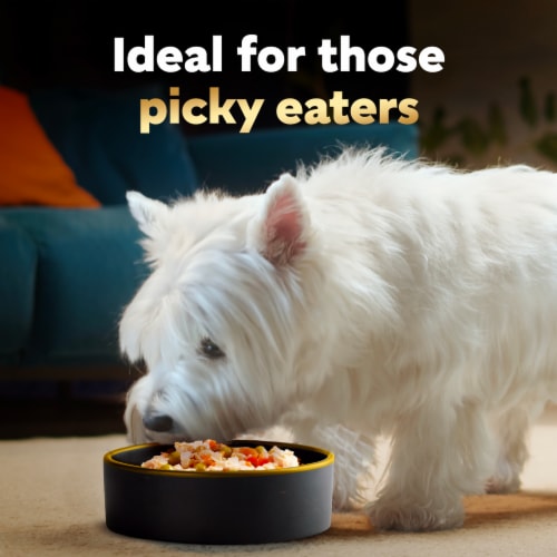 Cesar Simply Crafted Chicken, Carrots, Potatoes & Peas Canine Cuisine Complement 8.81 oz Perspective: right