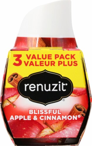 Renuzit Blissful Apple & Cinnamon Gel Air Fresheners Perspective: right