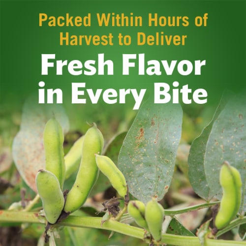 Del Monte® Harvest Selects® Fresh Cut® Green Lima Beans Canned Vegetables Perspective: right