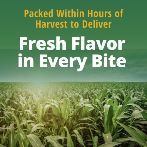 Del Monte® Cream Style No Salt Added Sweet Corn Perspective: right