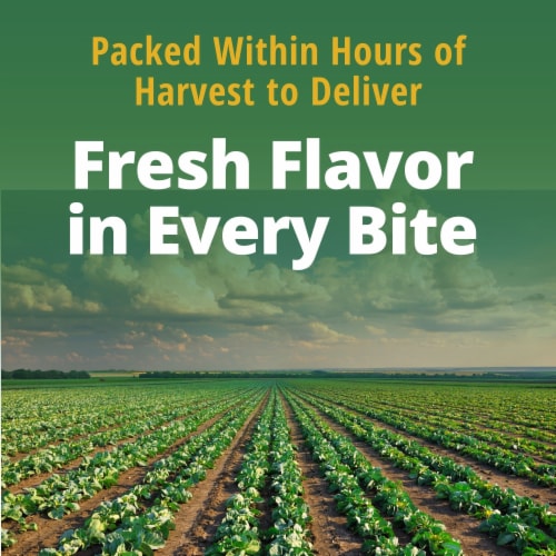 Del Monte® Sauerkraut Can Perspective: right