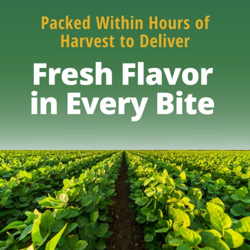 Del Monte Blue Lake 50% Less Sodium French Style Green Beans Perspective: right