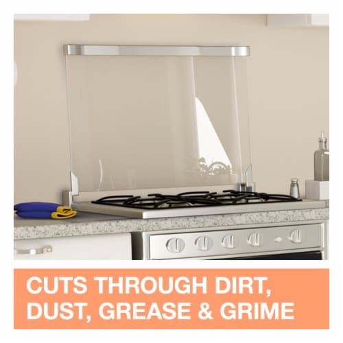 Family Guard™ Fresh Scent Disinfectant Cleaner Perspective: right