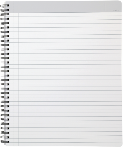 Oxford Idea Collective Professional Notebook Perspective: right
