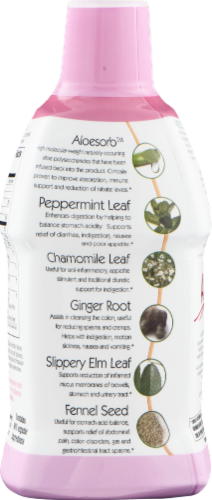 Lily of the Desert Aloe Herbal Stomach Formula Perspective: right