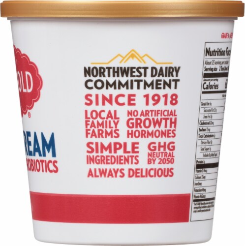 Darigold® Original Sour Cream Perspective: right