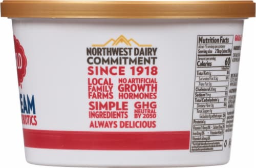 Darigold Original Sour Cream Perspective: right