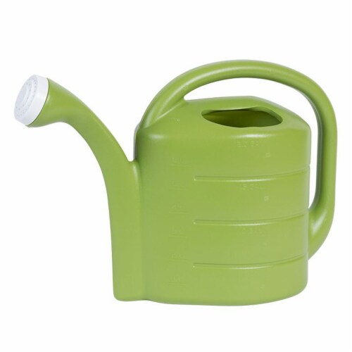 Novelty Poly Watering Can - Assorted Perspective: right