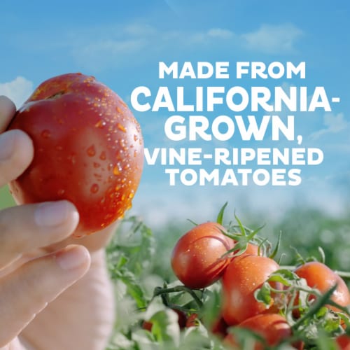 Hunt’S Tomato Ketchup Perspective: right