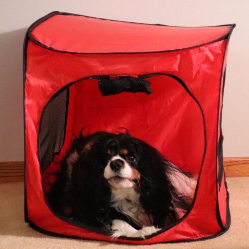 Redmon Since 1883 7481 Portable Pop Up Dog Crate Medium 1 Piece