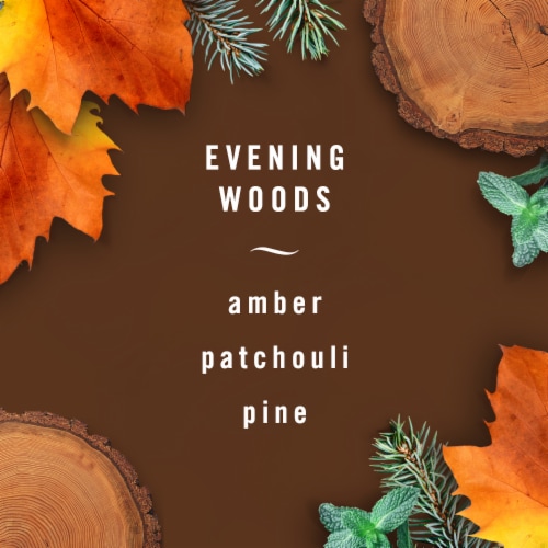 Febreze AUTO Air Freshener Vent Clip Evening Woods Scent Perspective: right