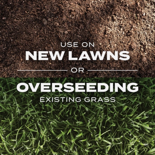 Scotts® Turf Builder® Sun & Shade Mix® Rapid Grass Seed Perspective: right