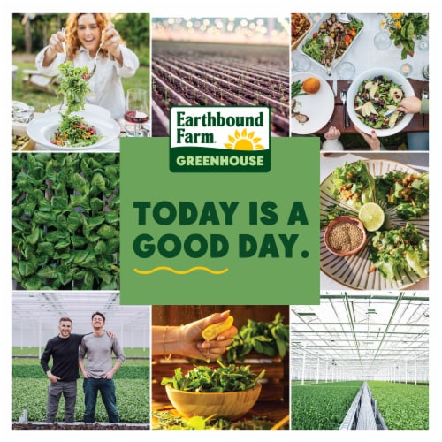 Earthbound Farm® Greenhouse Romaine Crunch Perspective: right