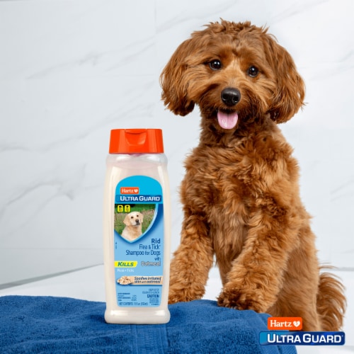 Hartz Ultra Guard Oatmeal Rid Flea & Tick Dog Shampoo Perspective: right