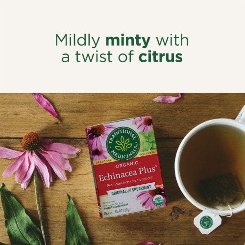 Traditional Medicinals Organic Echinacea Plus Tea Perspective: right