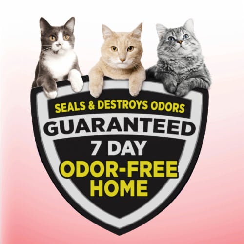 Arm & Hammer Odor Sealing Multi-Cat Clump & Seal Litter Perspective: right