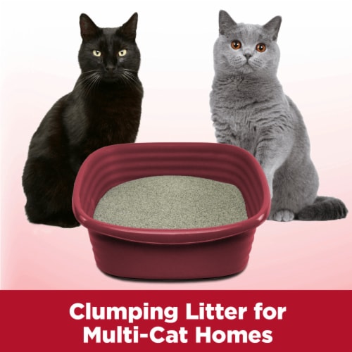 ARM & HAMMER Clump & Seal Ultra Odor Blasters Multi-Cat Clumping Cat Litter Perspective: right