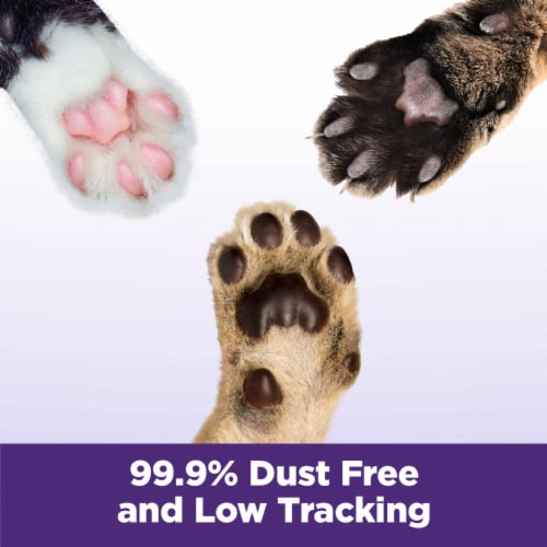 ARM & HAMMER Slide Easy Clean-Up Multi-Cat Clumping Cat Litter Perspective: right