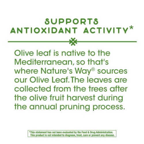 Nature's Way Olive Leaf Capsules 500mg Perspective: right