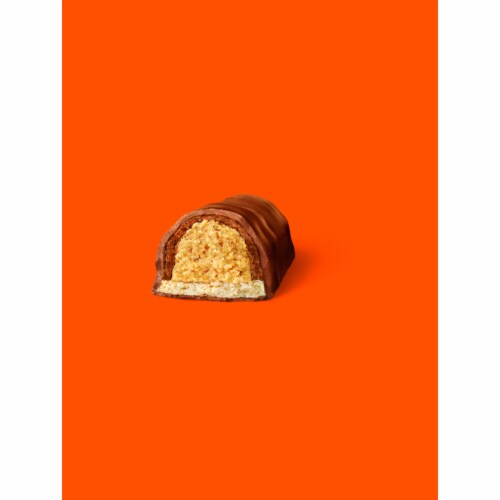 REESE'S FAST BREAK Milk Chocolate Peanut Butter and Nougat Snack Size Candy Bag Perspective: right