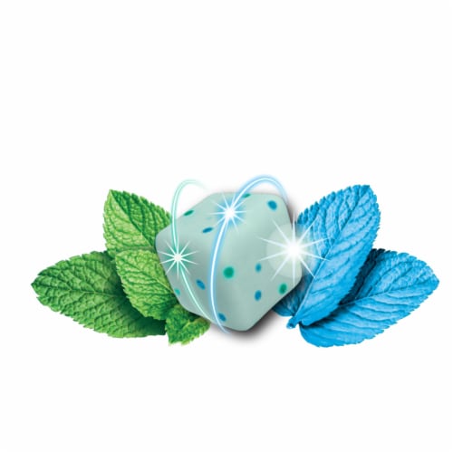 ICE BREAKERS Flavor Shifters Wintergreen to Coolmint Flavored Sugar Free Chewing Gum Bottle Perspective: right