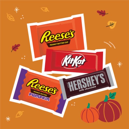 Hershey Milk Chocolate Assortment Snack Size Halloween Candy Variety Bag Perspective: right