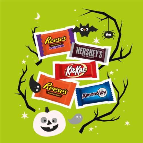 Hershey Assorted Flavored Snack Size Halloween Candy Variety Bag Perspective: right