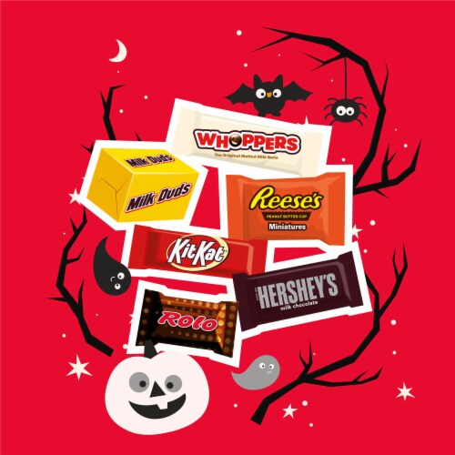 Hershey Assorted Chocolate Flavors Bite Size Halloween Candy Bulk Variety Bag Perspective: right