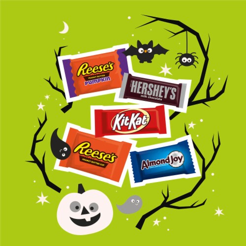 Hershey Assorted Flavored Snack Size Halloween Candy Variety Bag Perspective: right