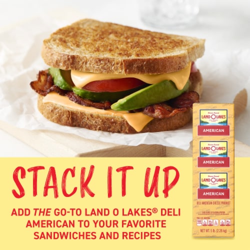 Land O Lakes® Yellow Deli American Cheese Product Perspective: right