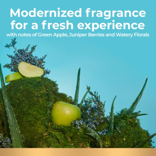 Irish Spring Aloe Mist Deodorant Bar Soap Perspective: right