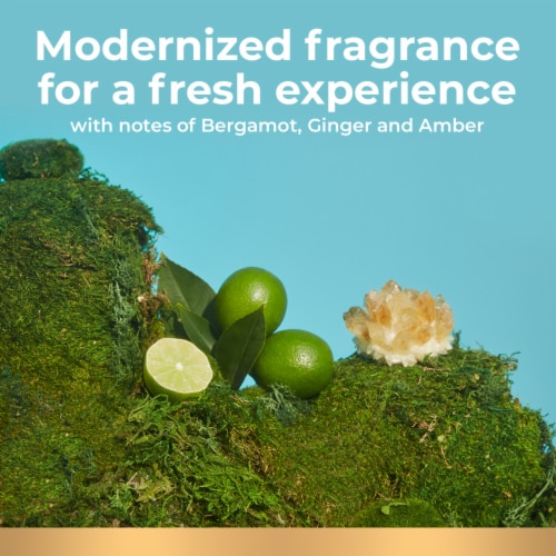 Irish Spring Moisture Blast Deodorant Bar Soap Perspective: right