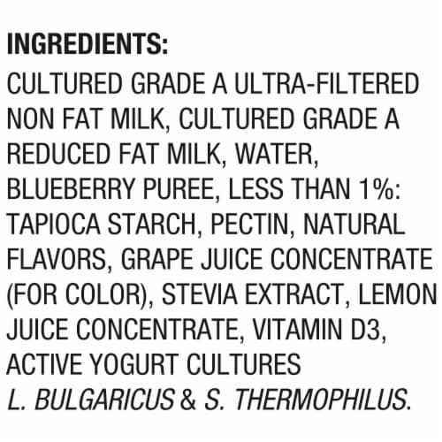 Too Good & Co. Blueberry Yogurt-Cultured Ultra-Filtered Low Fat Milk Product Cup Perspective: right