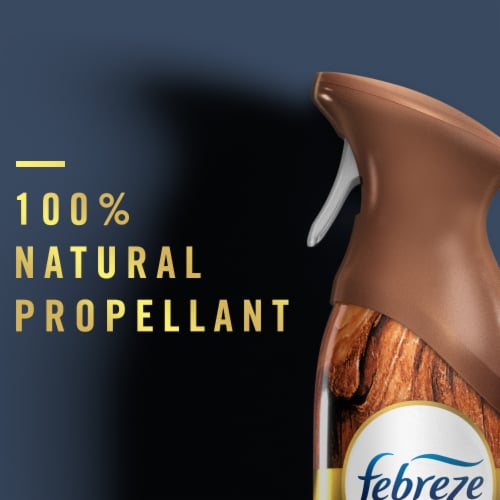 Febreze Ocean Scent Odor-Fighting Air Freshener Aerosol Can Twin Pack Perspective: right