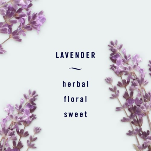 Febreze Lavender LIGHT Fade Defy PLUG Air Freshener Oil Refill Perspective: right