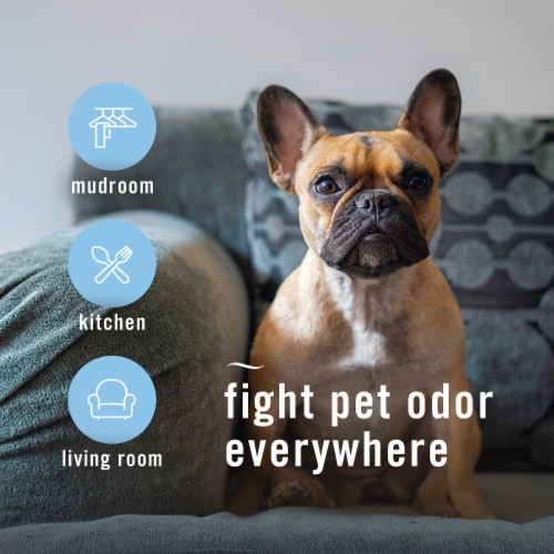 Febreze Pet Odor Fighter Fresh Scent Air Freshener Aerosol Can Value Pack Perspective: right