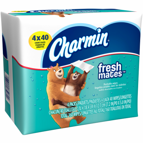 Charmin Freshmates Flushable Wipes 4 pk 40 ct Fry s Food Stores