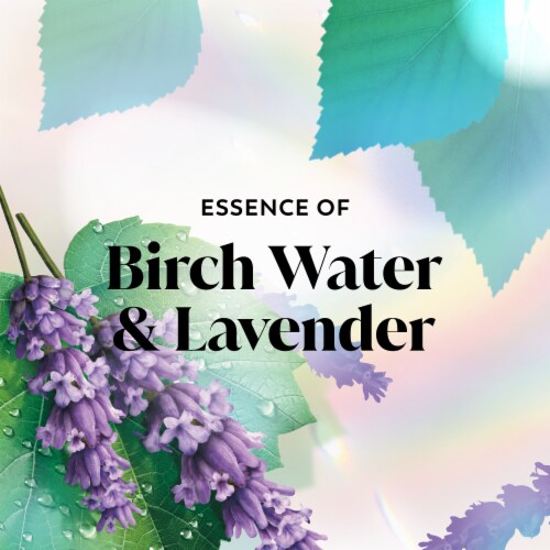 Olay Fresh Outlast Notes Of Birch Water & Lavender Body Wash Perspective: right