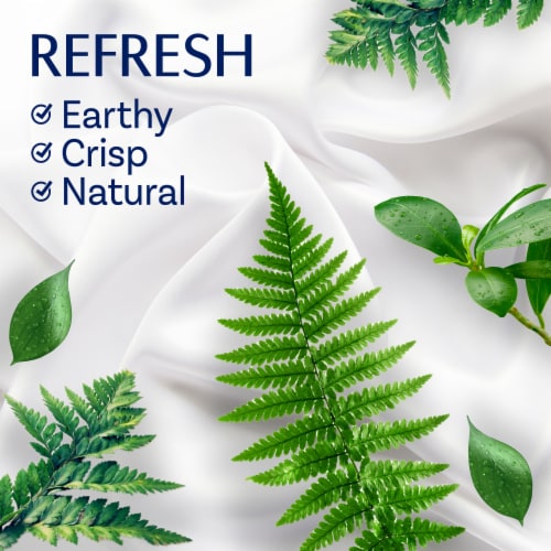 Downy Birch Water & Botanicals Infusions Liquid Fabric Softener Perspective: right