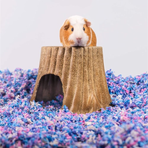 PETSPICK Uber Soft Paper Pet Bedding for Small Animals, Confetti Multicolored, 56 L Perspective: right