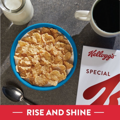 Kellogg's® Special K Protein Original Touch of Cinnamon Cereal Perspective: right