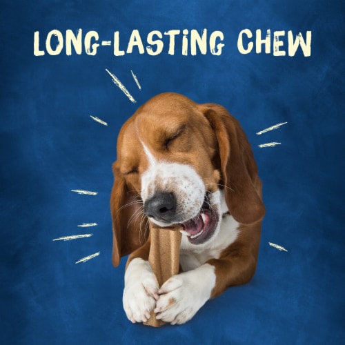 Purina Busy Bone Original Chew Small/Medium Breed Dog Treats Perspective: right