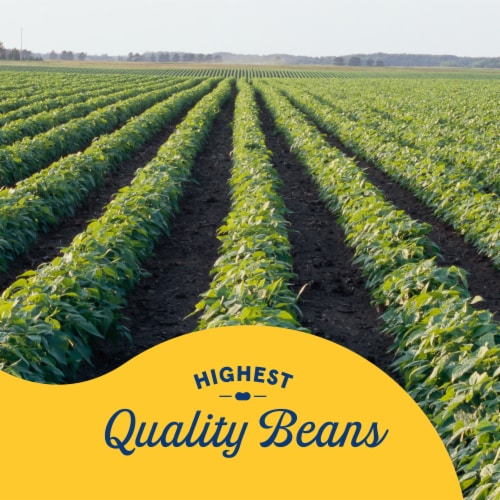 Bush's Best® Dark Red Kidney Beans Perspective: right