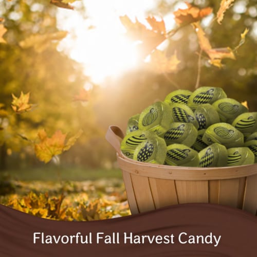 Dove Promises Dark Chocolate Pumpkins Fall Halloween Candy Perspective: right
