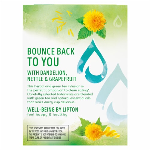 Lipton® Detox Dandelion Nettle Grapefruit Green Tea Bags Perspective: right