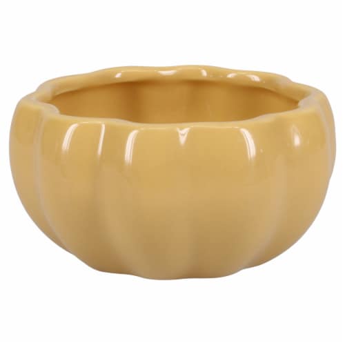 Holiday Home® Pumpkin Bowl Perspective: right