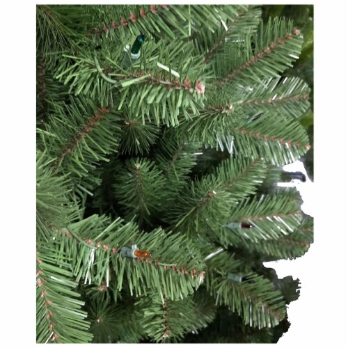 Holiday Home Edisto Noble Fir Tree with Multicolored Lights Perspective: right